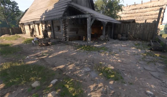 《天国：拯救2 Kingdom Come: Deliverance 2》如何处理鸟巢-2