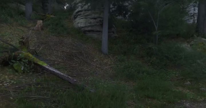 《天国：拯救2 Kingdom Come: Deliverance 2》如何获取鹿皮-1