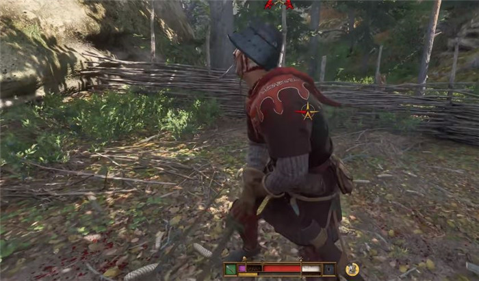 《天国：拯救2 Kingdom Come: Deliverance 2》如何找到公猫大师-2