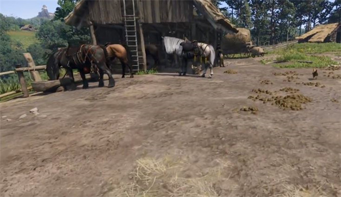 《天国：拯救2 Kingdom Come: Deliverance 2》为了胜利任务攻略-2