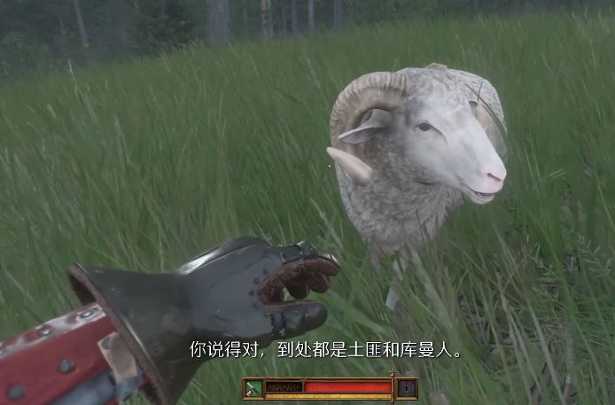 《天国：拯救2 Kingdom Come: Deliverance 2》如何拯救伊格内修斯羊-2