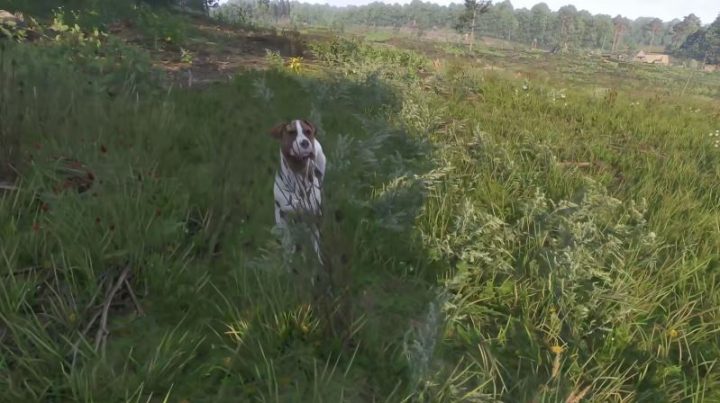《天国：拯救2 Kingdom Come: Deliverance 2》如何投掷石块-1