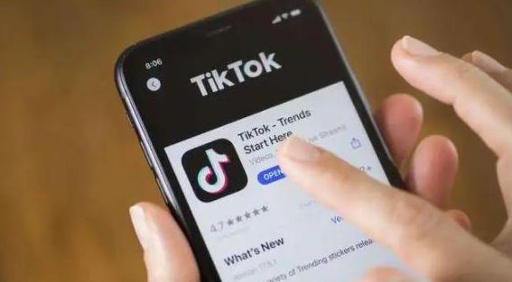 怎么样下载没有水印的TikTok视频-1