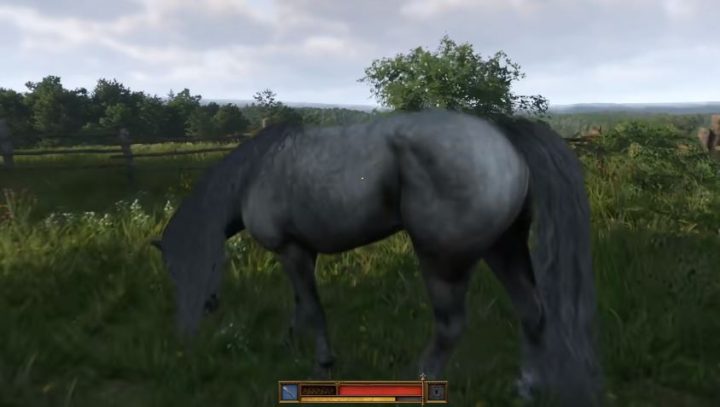 《天国：拯救2 Kingdom Come: Deliverance 2》如何清洗你的马-1