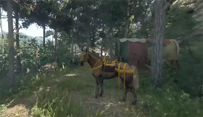 《天国：拯救2 Kingdom Come: Deliverance 2》如何快速提升活力-2