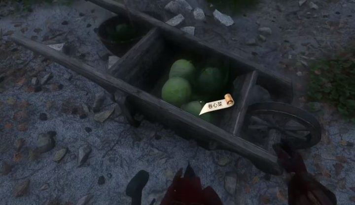 《天国：拯救2 Kingdom Come: Deliverance 2》卷心菜贼在哪里-1