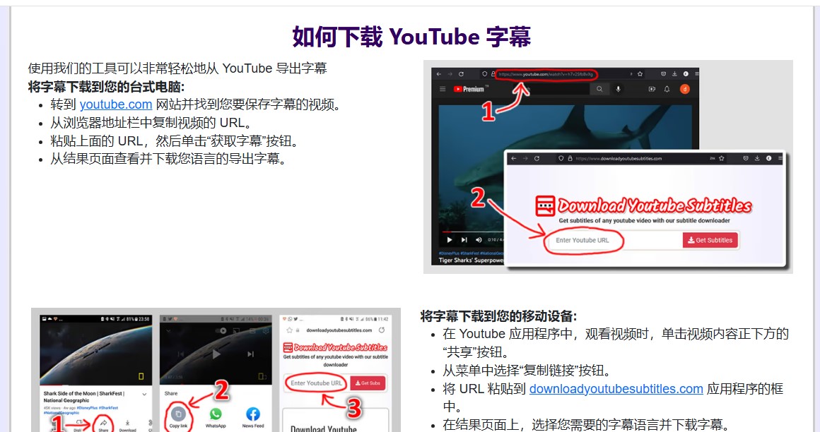Youtube字幕下载器