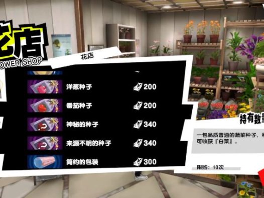 《女神异闻录：夜幕魅影》花店兼职工作的正确答案